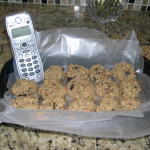 Oatmeal Cookies with Cat