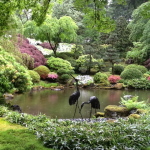 Destress the Holiday at the Japanese Garden